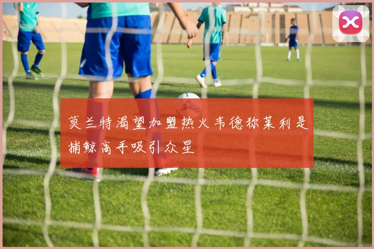莫兰特渴望加盟热火韦德称莱利是捕鲸高手吸引众星